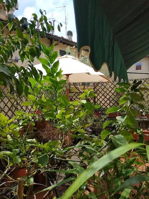 Apartment - Studio Anthurium Florencia