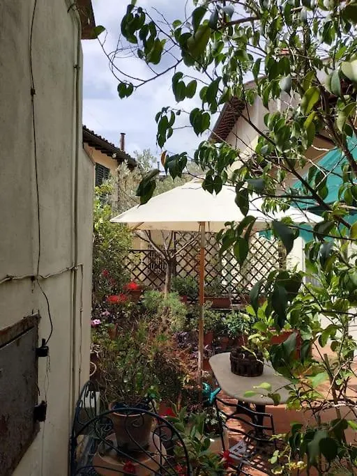 Apartment - Studio Anthurium Florencia Italia