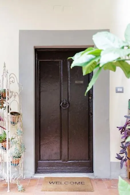Apartment - Studio Anthurium Florence